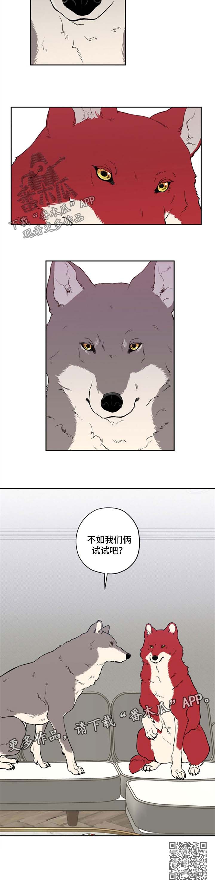 赤狼鱼竿漫画,第34章：不如我们俩试试5图