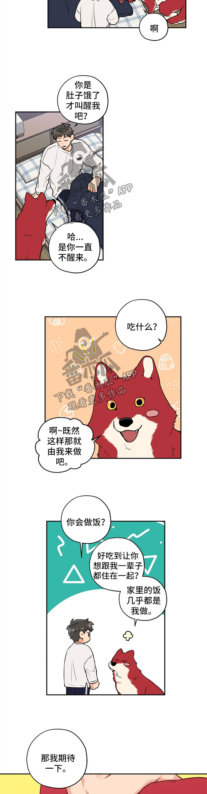 赤狼鱼竿漫画,第33章：变不回人3图