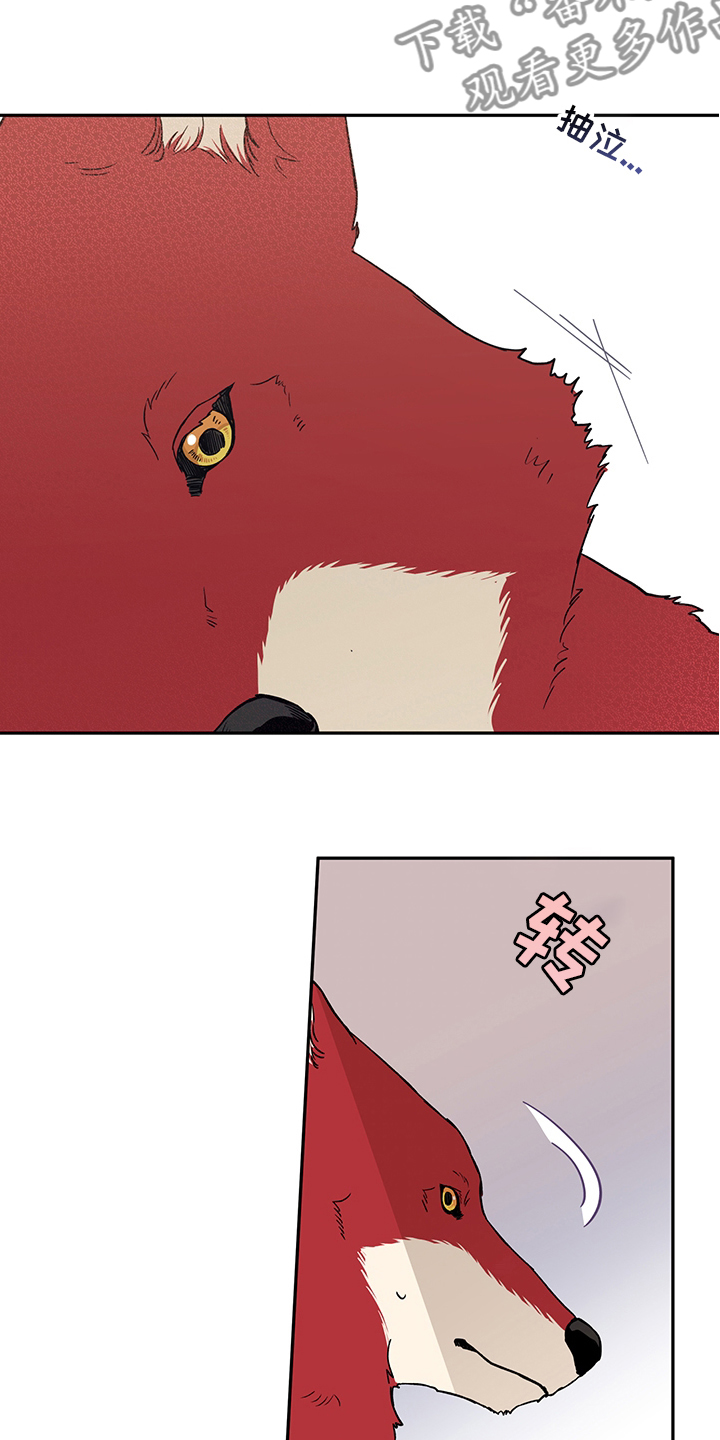 赤狼鱼竿漫画,第94章：不要抛弃我3图
