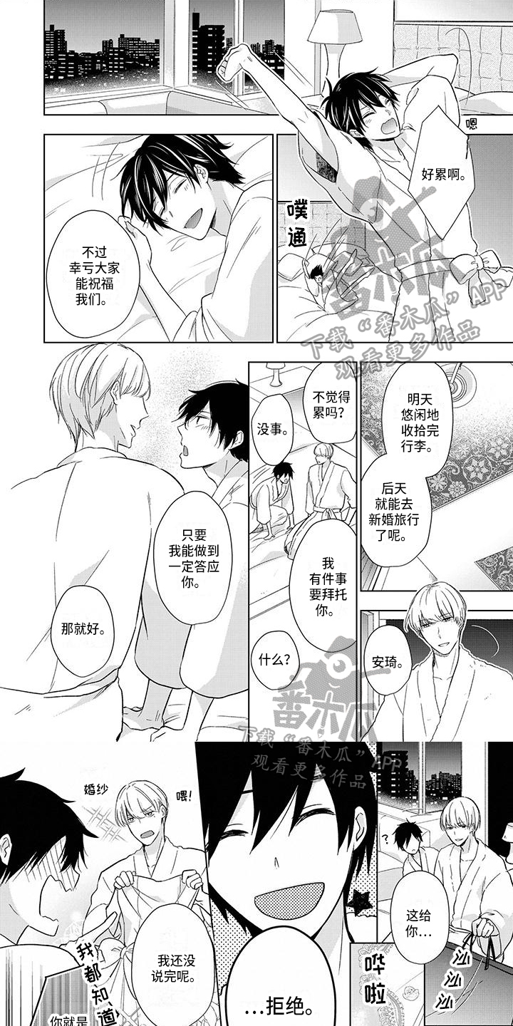 改革与稳定的关系漫画,第25章：新婚旅行1图