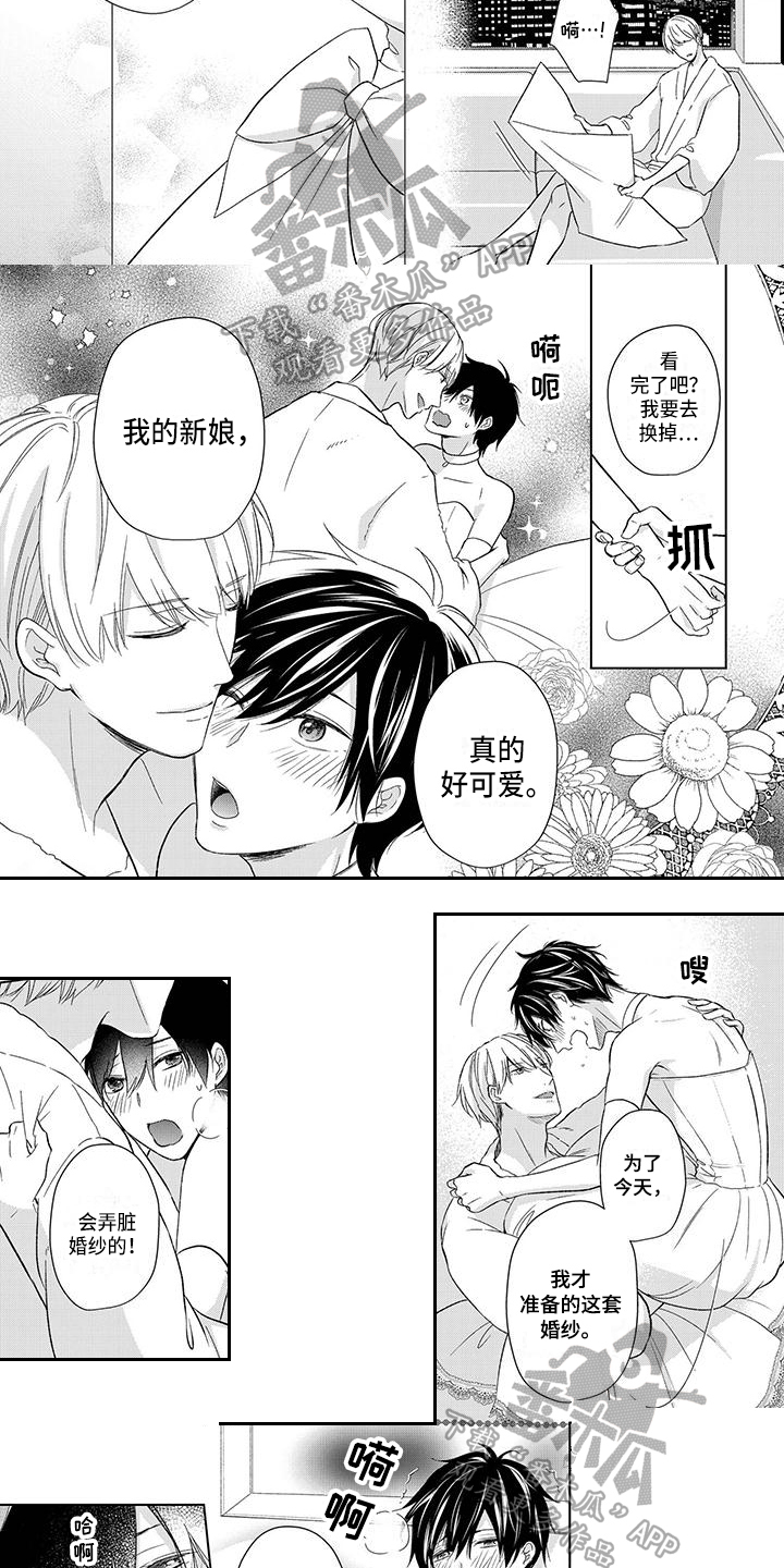 改革与稳定的关系漫画,第25章：新婚旅行3图