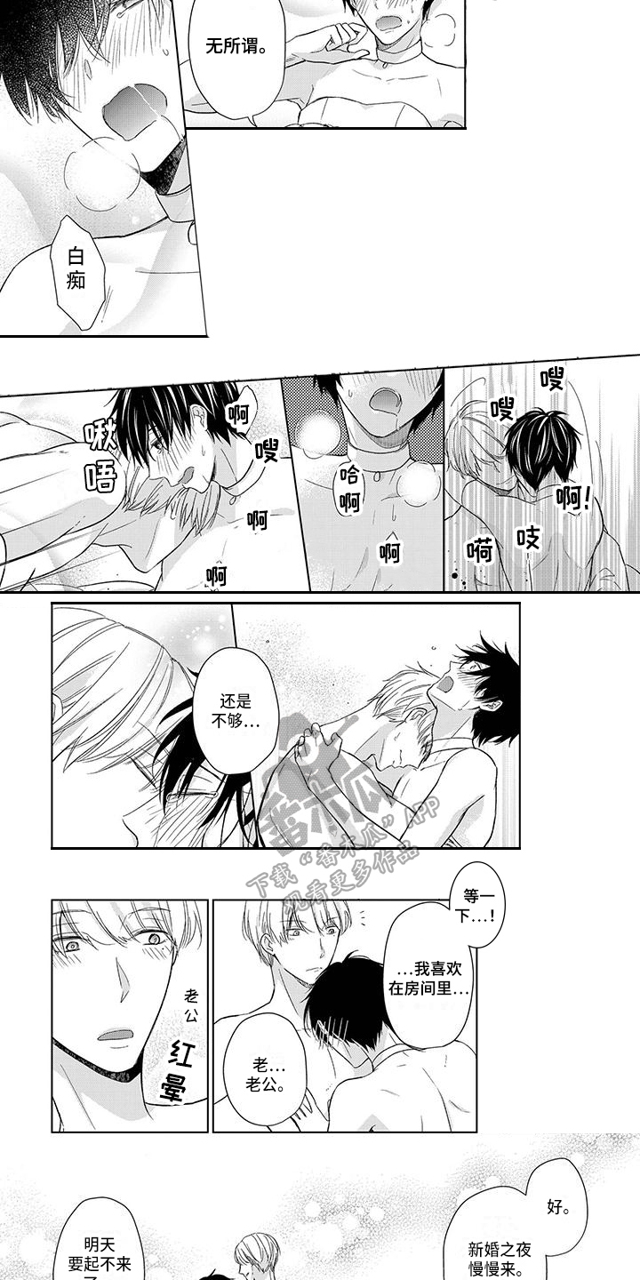 改革与稳定的关系漫画,第25章：新婚旅行4图
