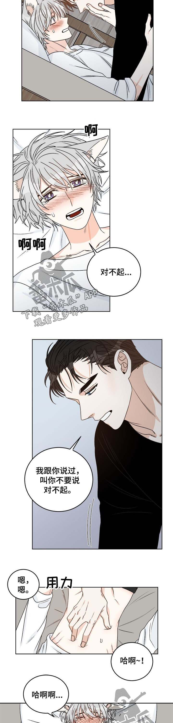 第56章：你为何会哭1