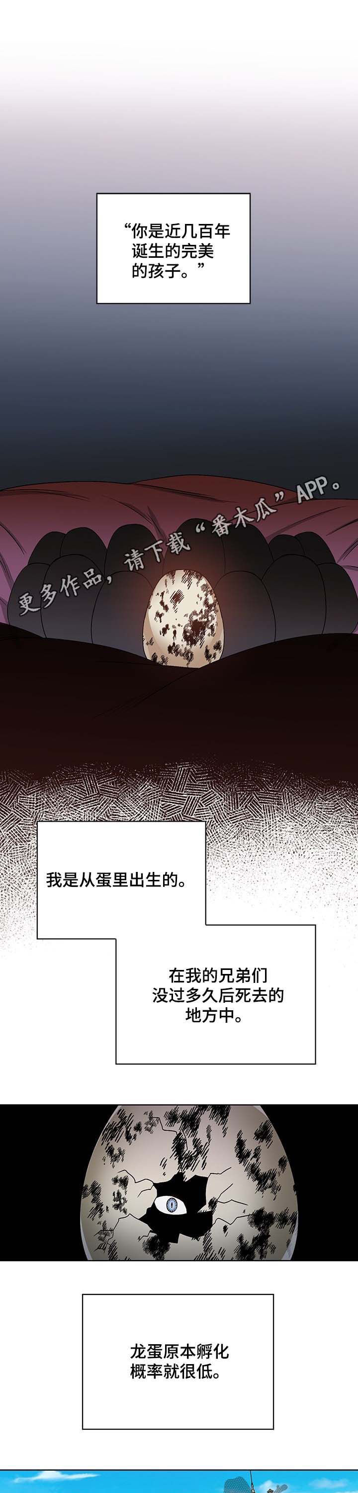 第54章：没有意义的家庭0