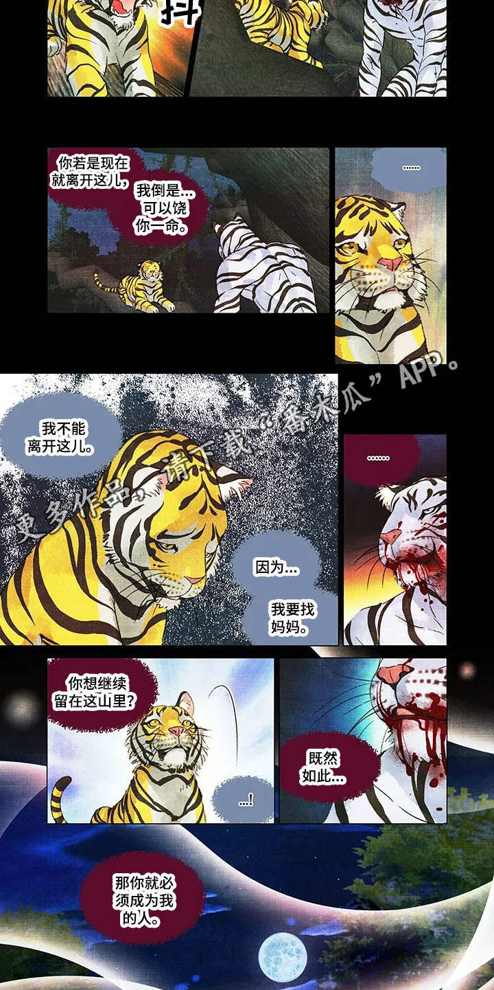 第12章：领地4
