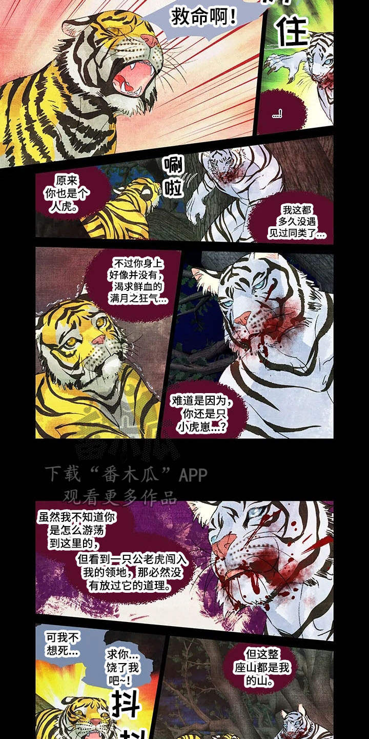 第12章：领地3