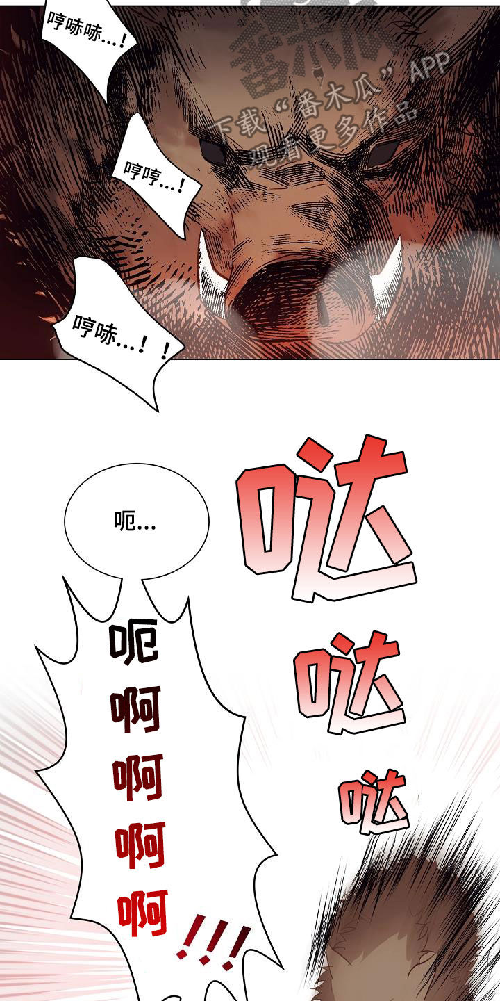 完美契合漫画,第49章：野猪3图