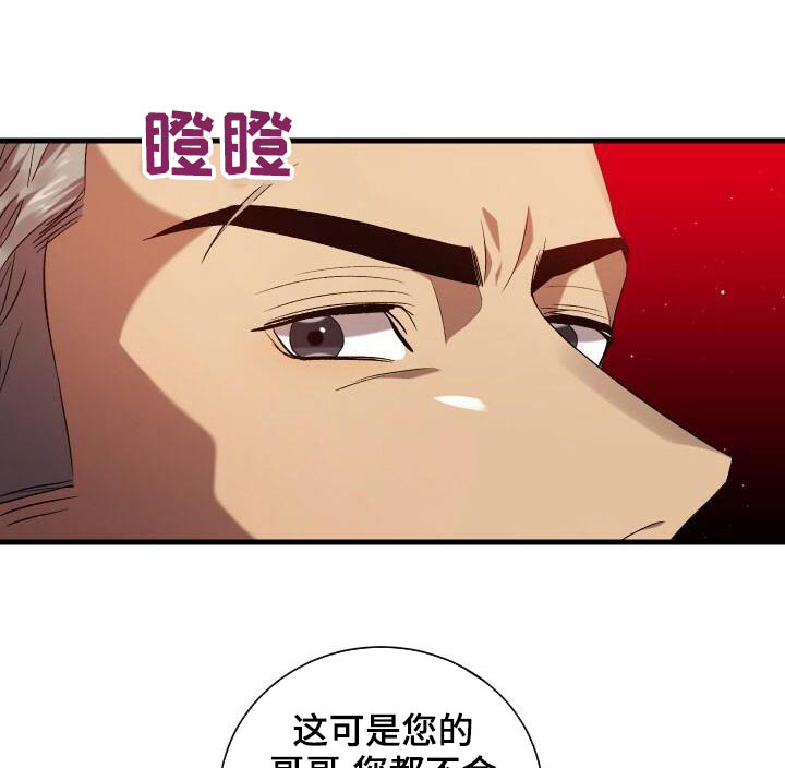 第84章：我的哥哥0