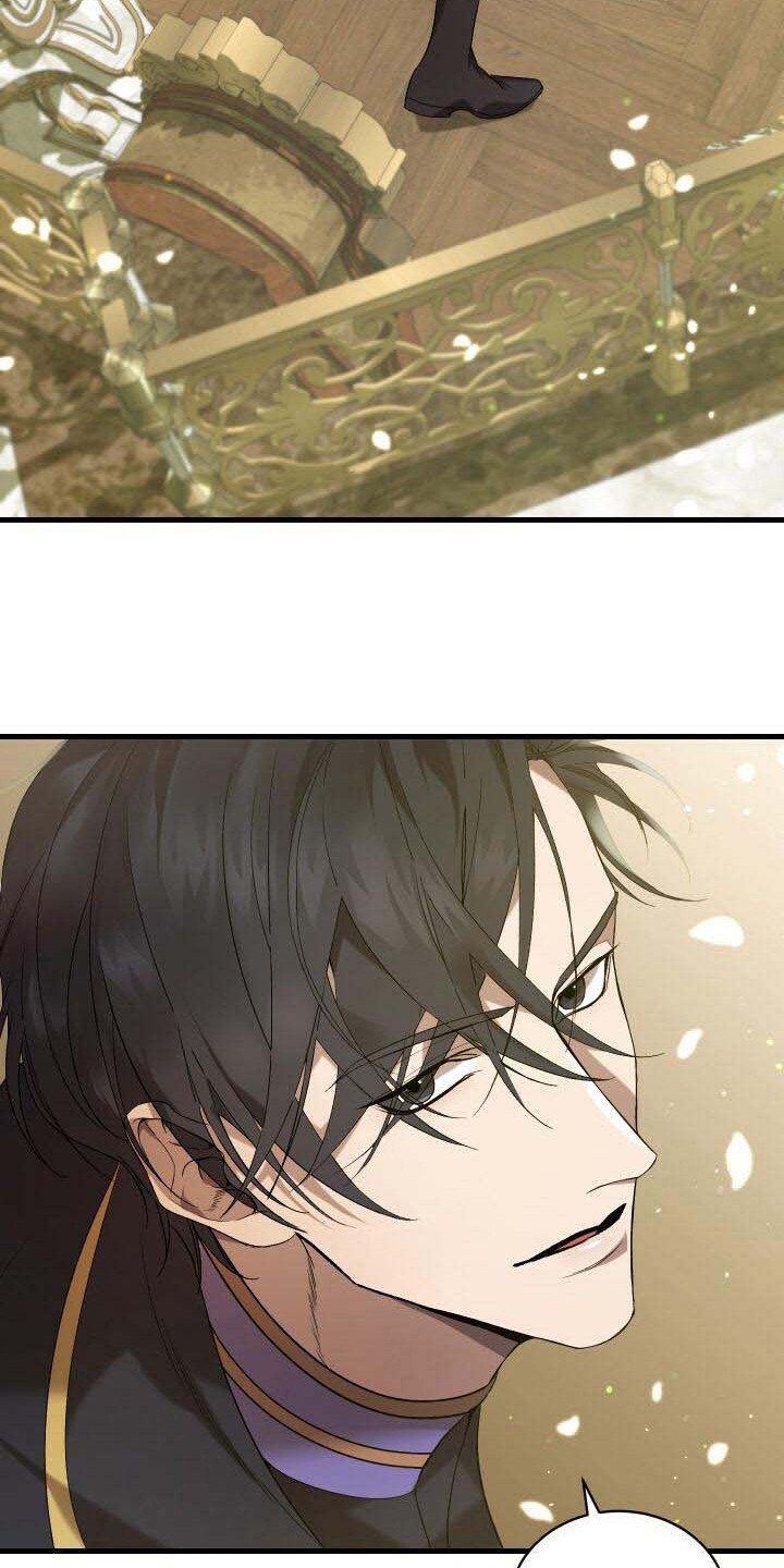 第41章：超级强3
