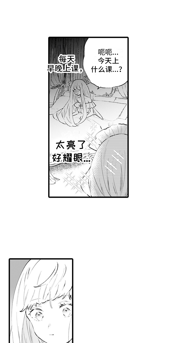异世界公主许博明露娜剧情介绍漫画,第6章：体谅2图