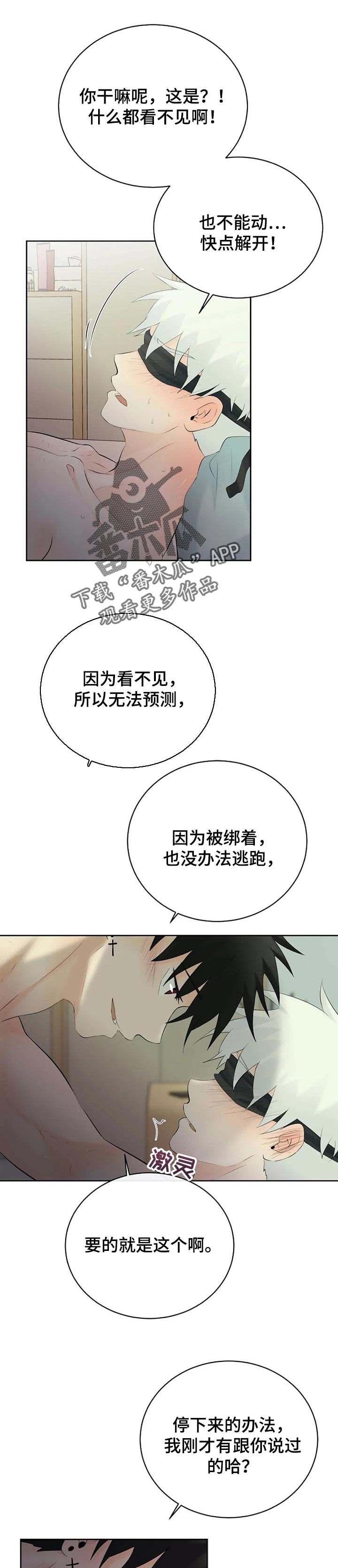 第41章：快说4