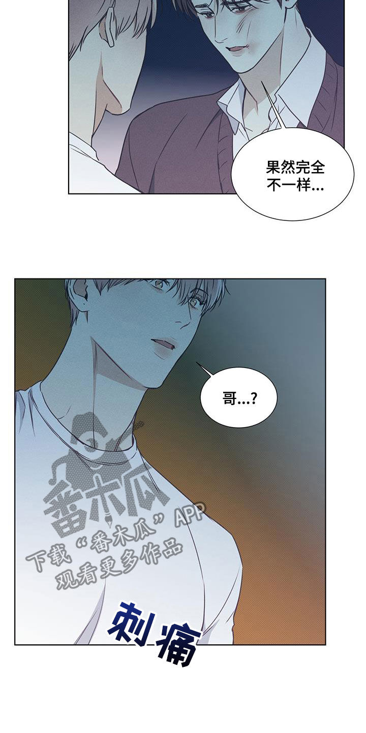 第48章：向枫叶许愿1