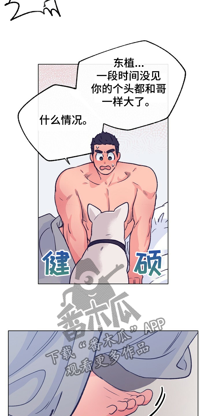 田间乡野音乐漫画,第127章：【第二季】硕大的东植5图