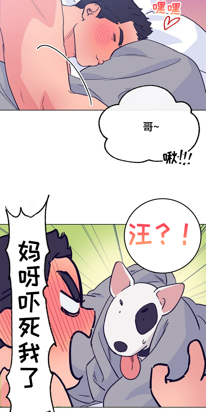 田间乡野音乐漫画,第127章：【第二季】硕大的东植4图