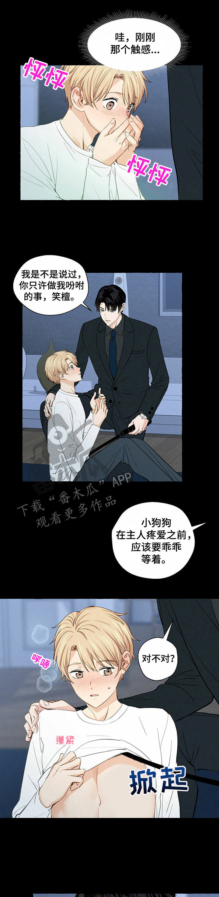 香草搭档漫画,第19章：随你处置1图