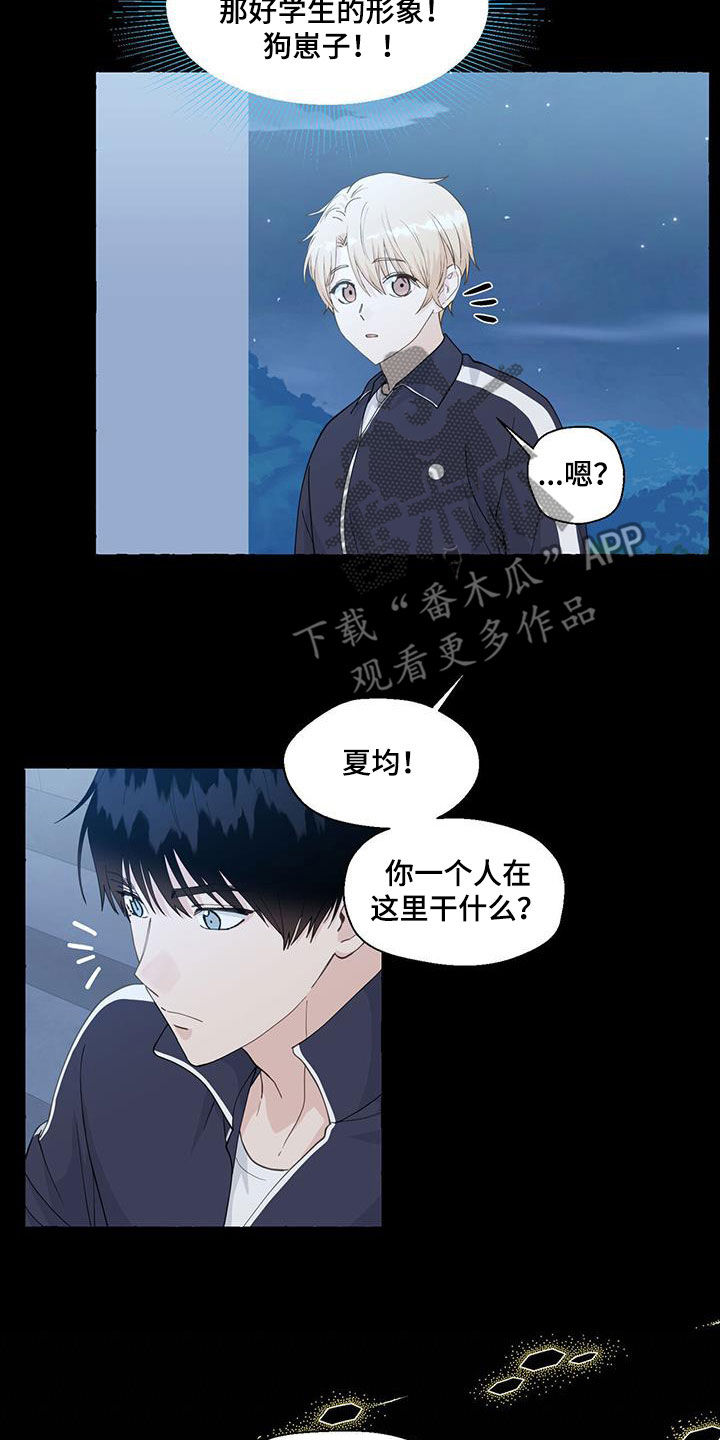 香草搭档微博漫画,第144章：这是我的5图