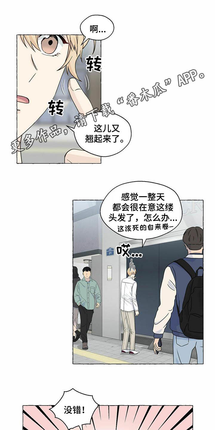 香草搭档微博漫画,第79章：约会1图