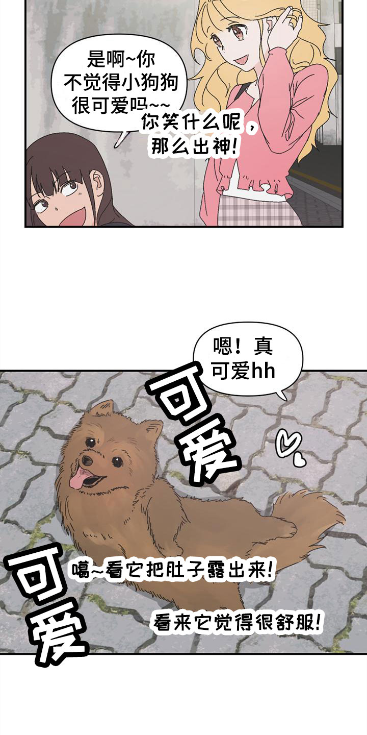 明星攻略之钟情免费阅读漫画,第8章：造谣2图