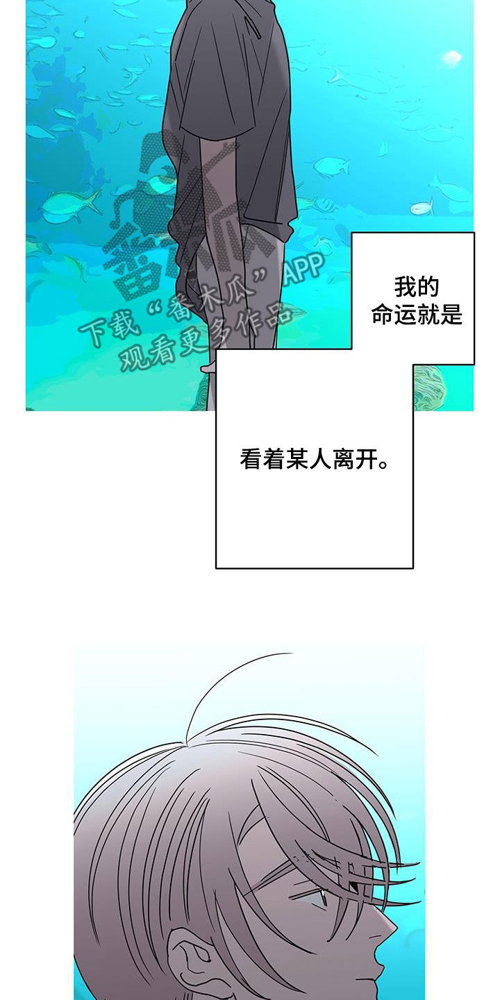 贝塔的七个姐姐一口气全看完漫画,第57章：喝醉4图