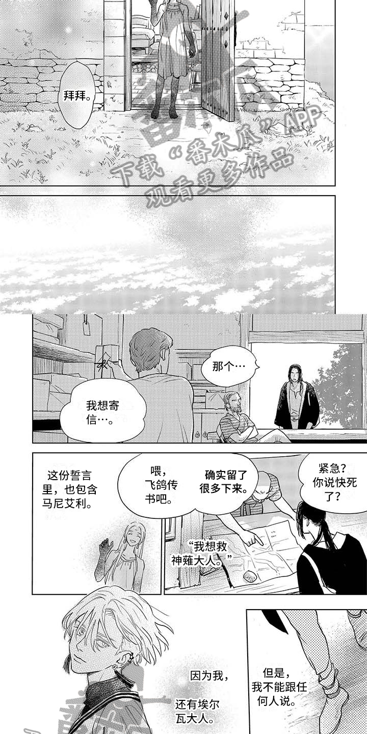 晨曦之星赤霞珠干红葡萄酒保质期漫画,第29章：寄信3图