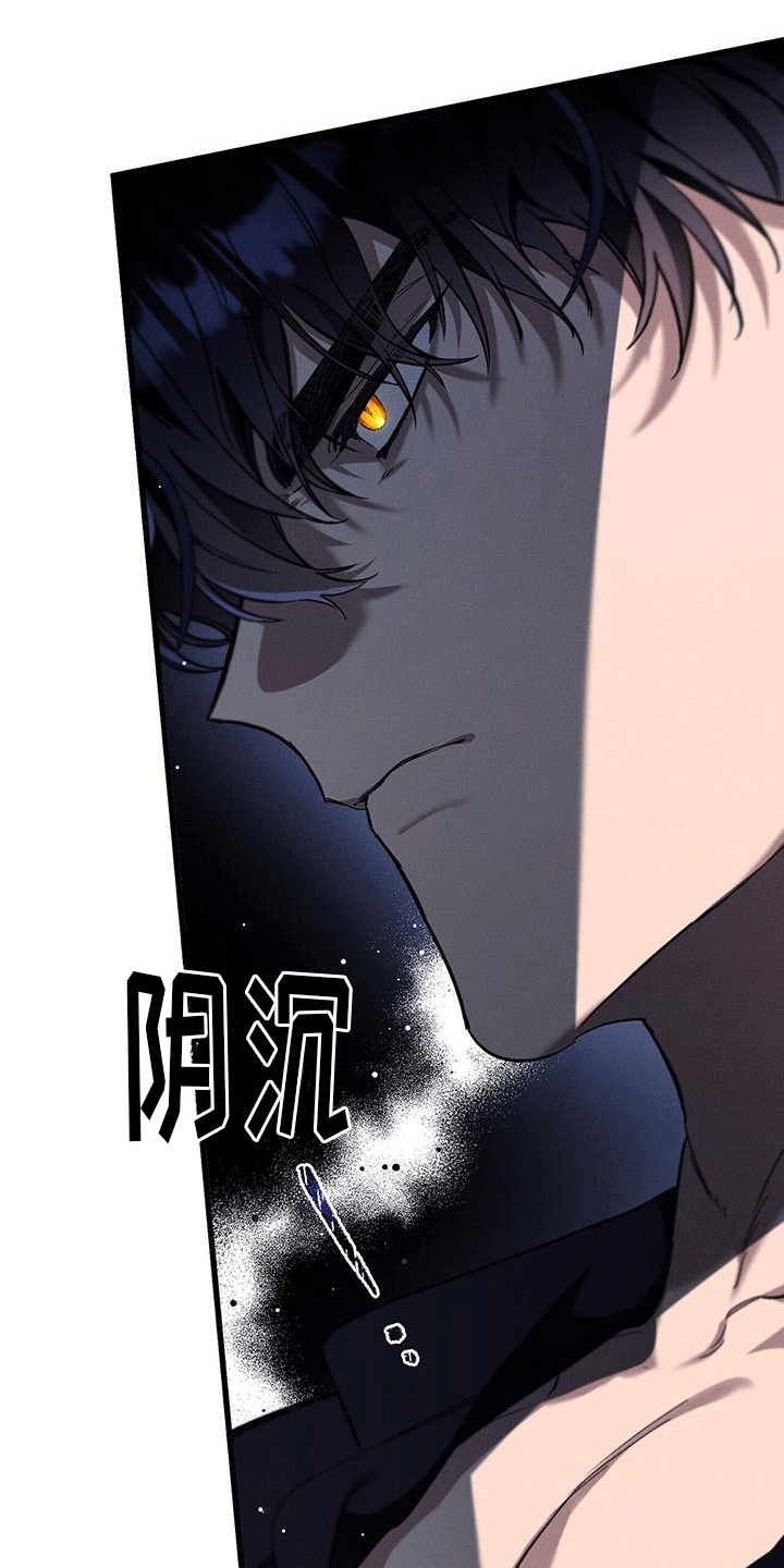 城堡里的野兽解说漫画,第21章：领主出门1图