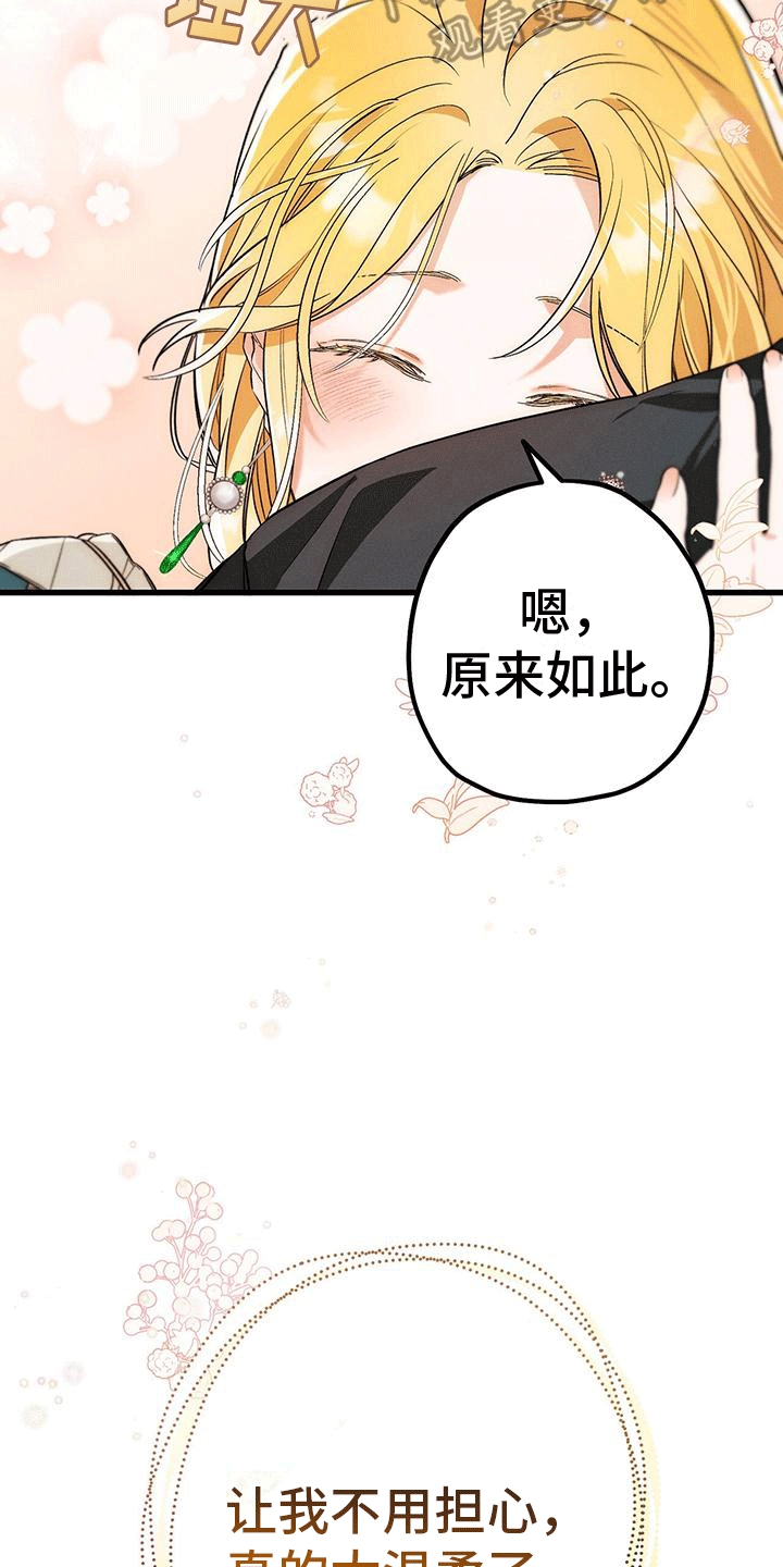 城堡里没有公主漫画,第17章：惯例4图