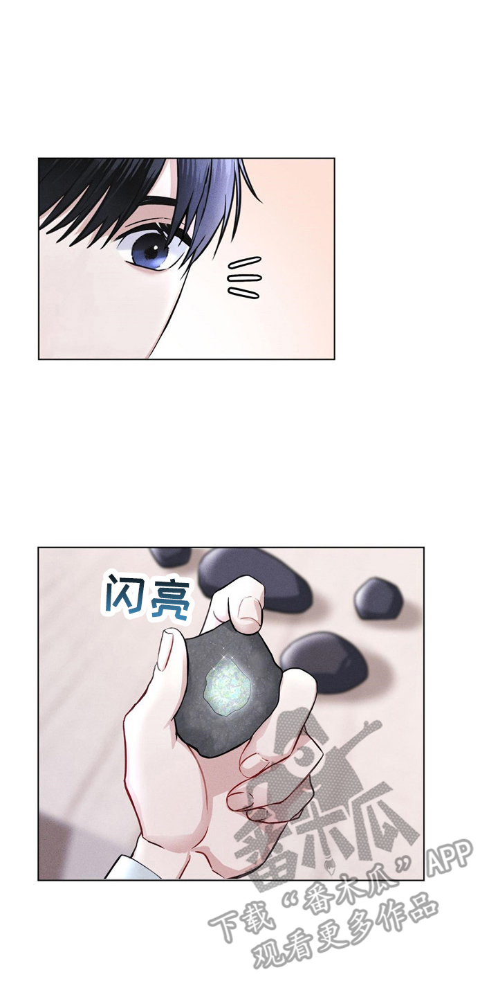 彩虹城里的落花阅读答案3年级漫画,第5章：条件1图