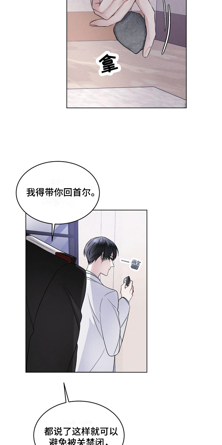 彩虹城里的落花阅读答案3年级漫画,第5章：条件5图