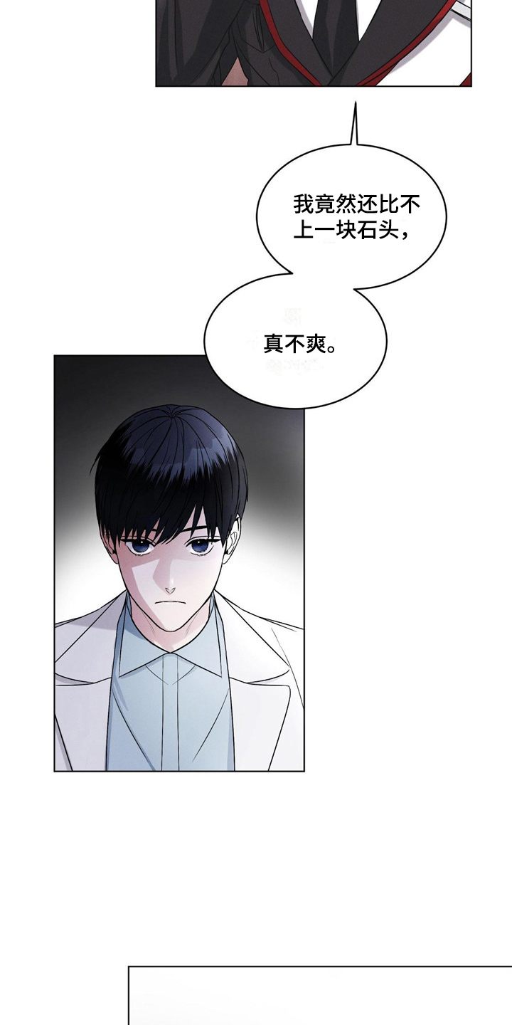 彩虹城里的落花阅读答案3年级漫画,第5章：条件3图