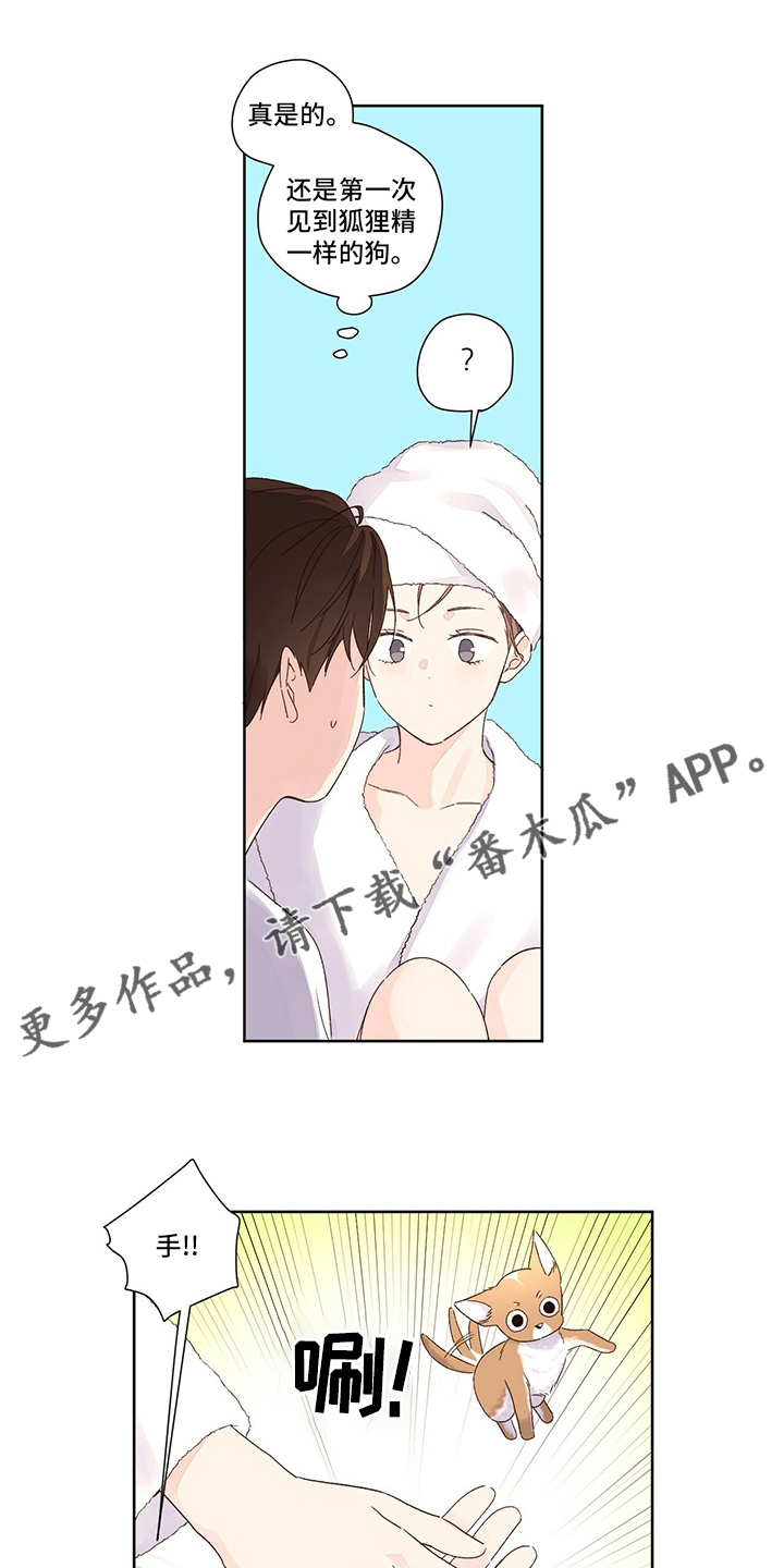 第87章：别墅0