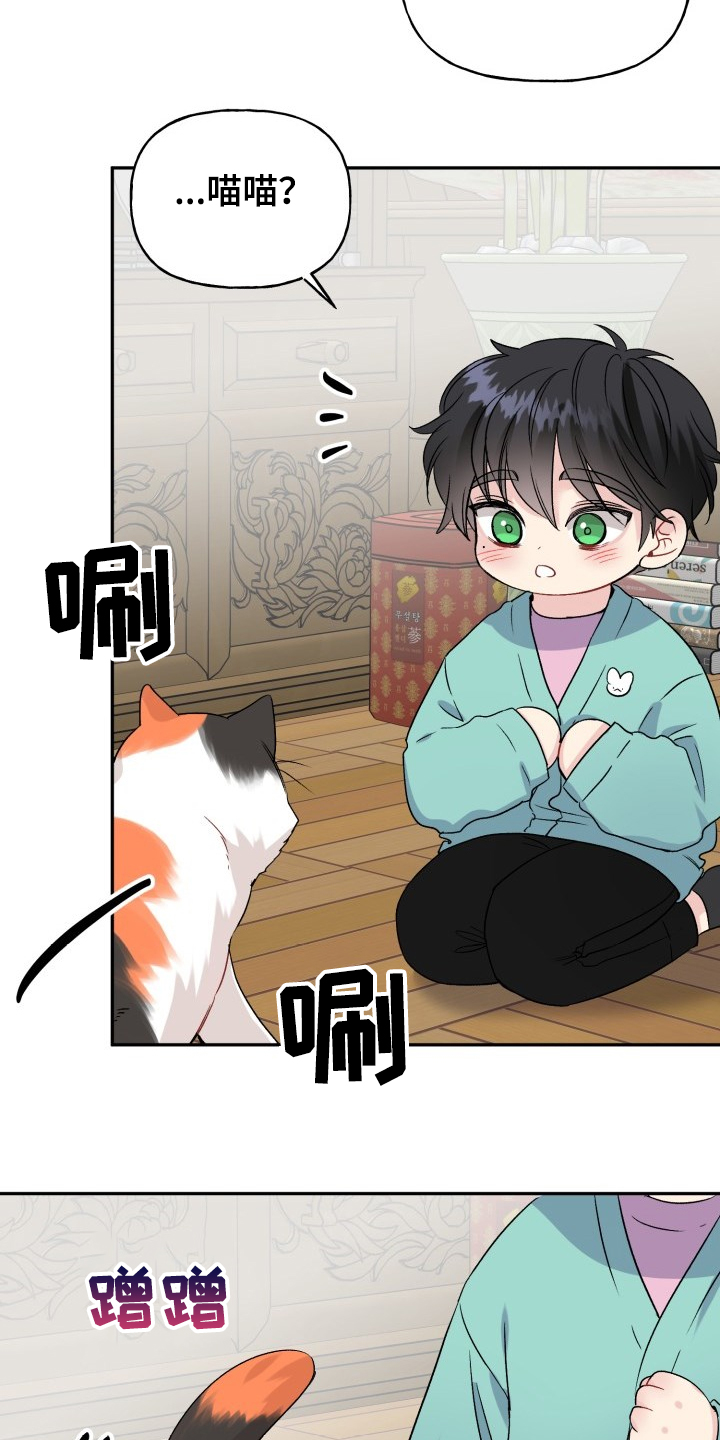 初恋重逢漫画,第103章：好像喵喵4图