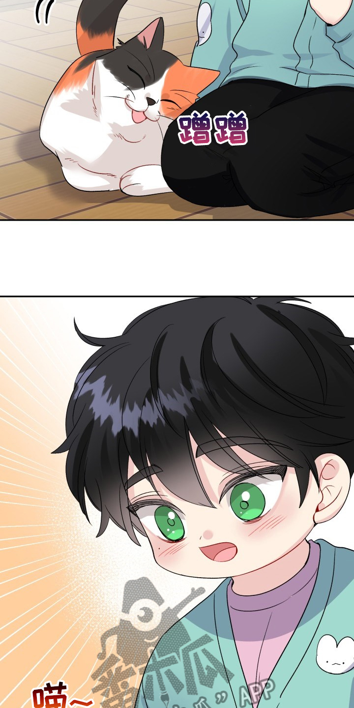 初恋重逢漫画,第103章：好像喵喵5图