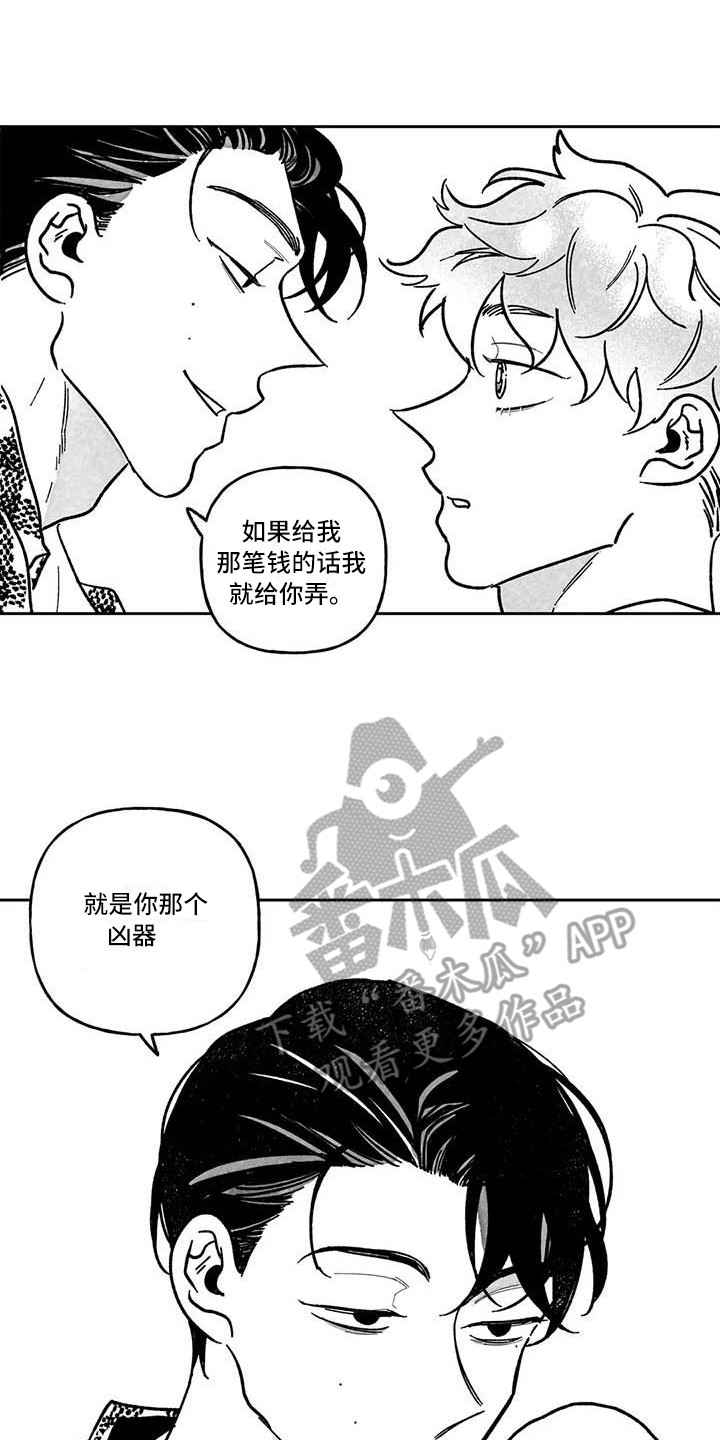 第6章：专业的4
