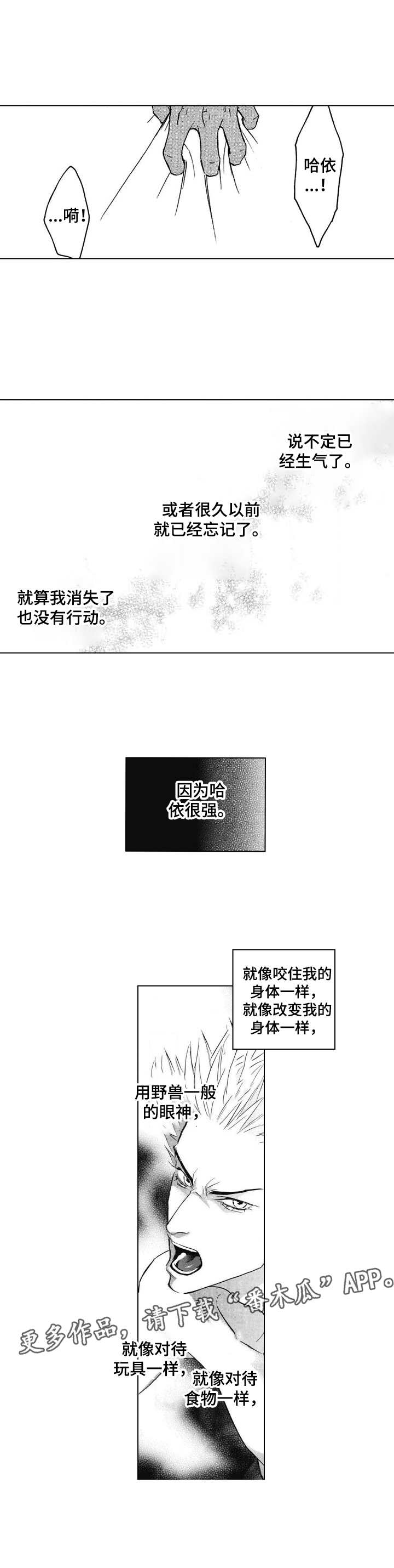 代号哈依漫画,第4章：挂饰3图