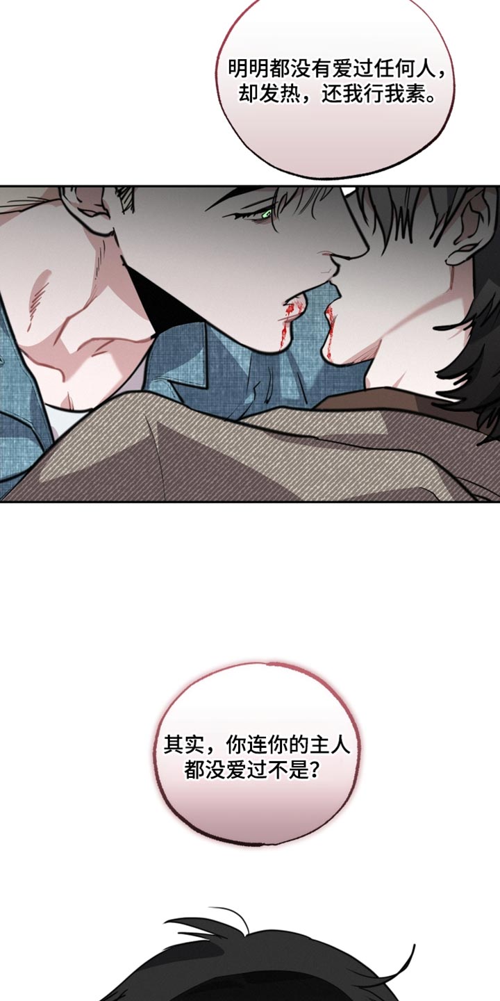 第53章：我应该得到他的爱2