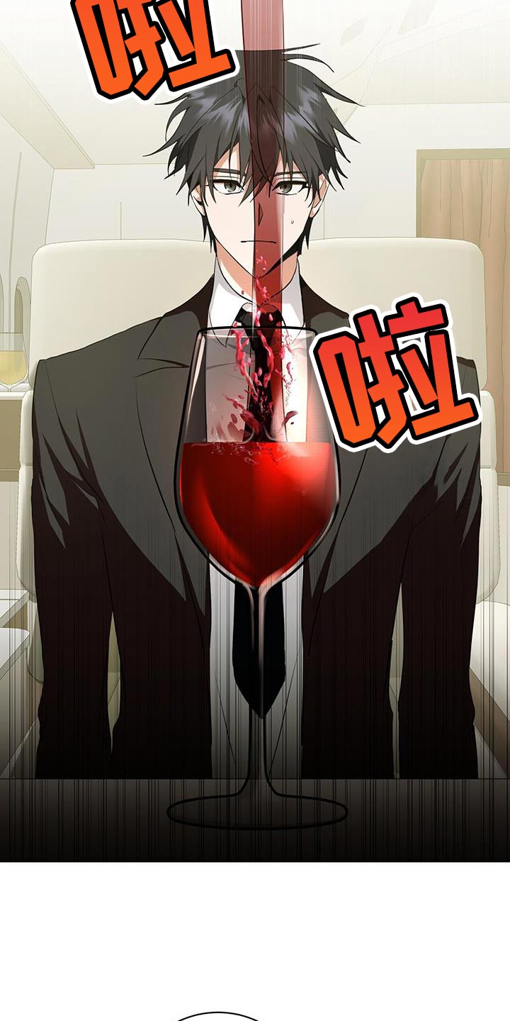 吸血鬼特工皮肤漫画,第27章：私人飞机3图
