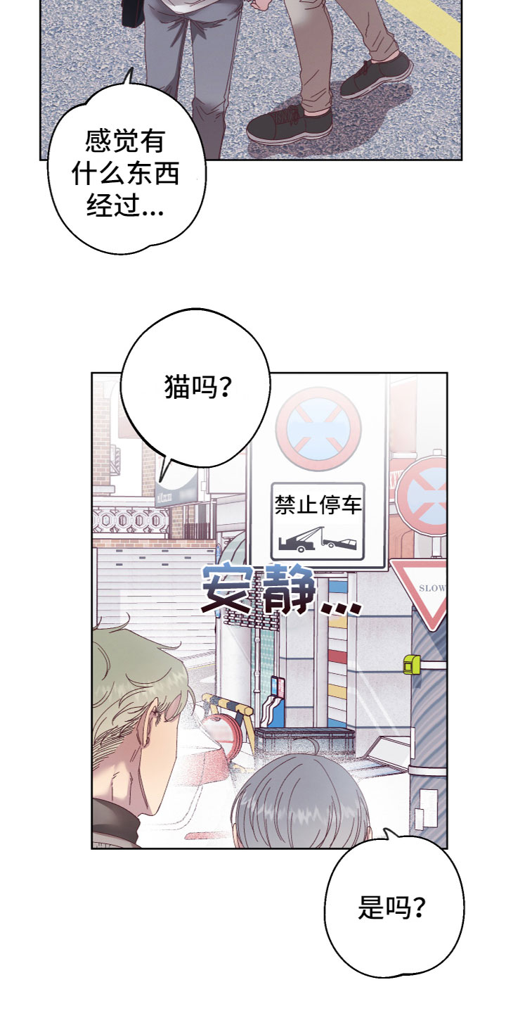 第2章：奇怪黑影1
