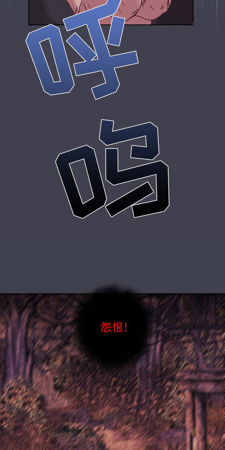 第52章：干扰1