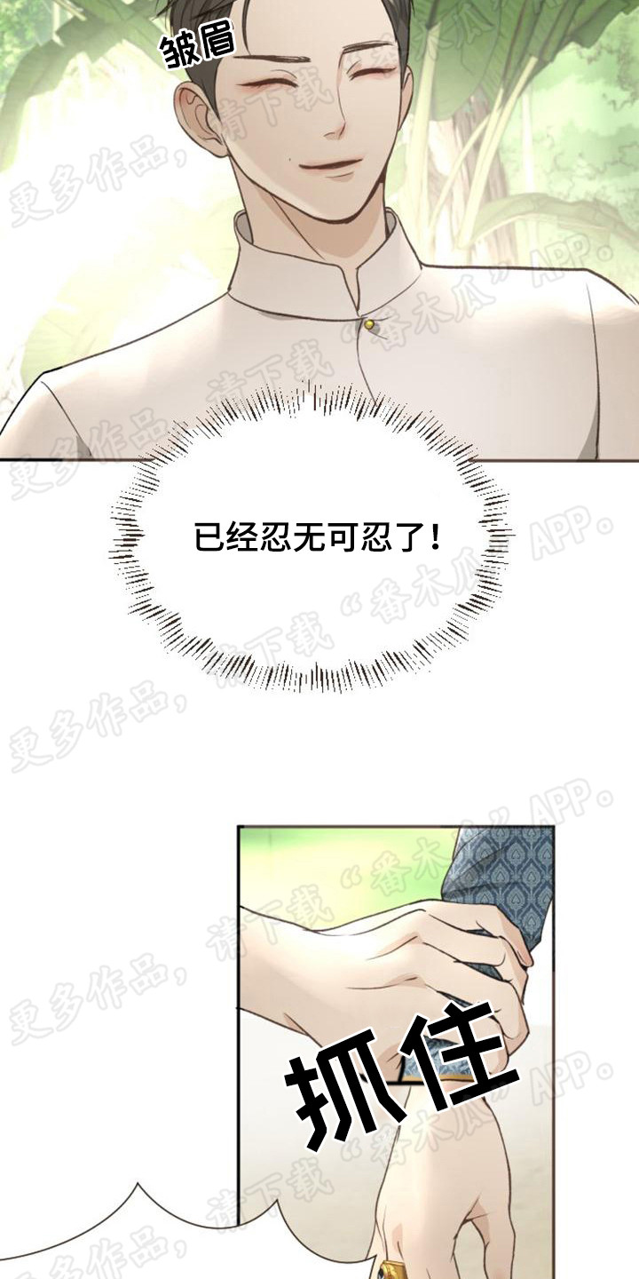 暹罗最美的少爷漫画,第6章：小国王3图
