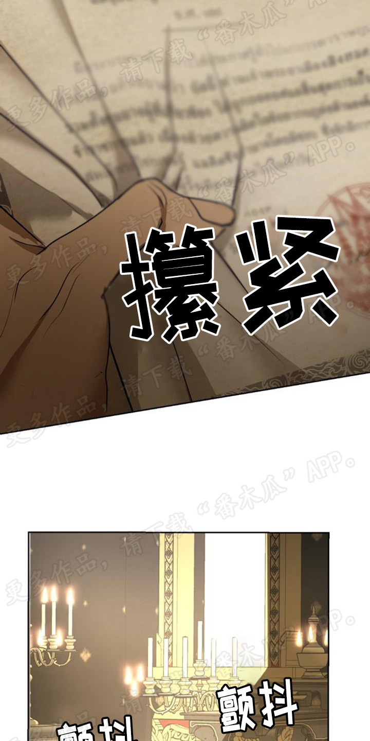 暹罗最美的少爷漫画,第69章：尘埃落定4图