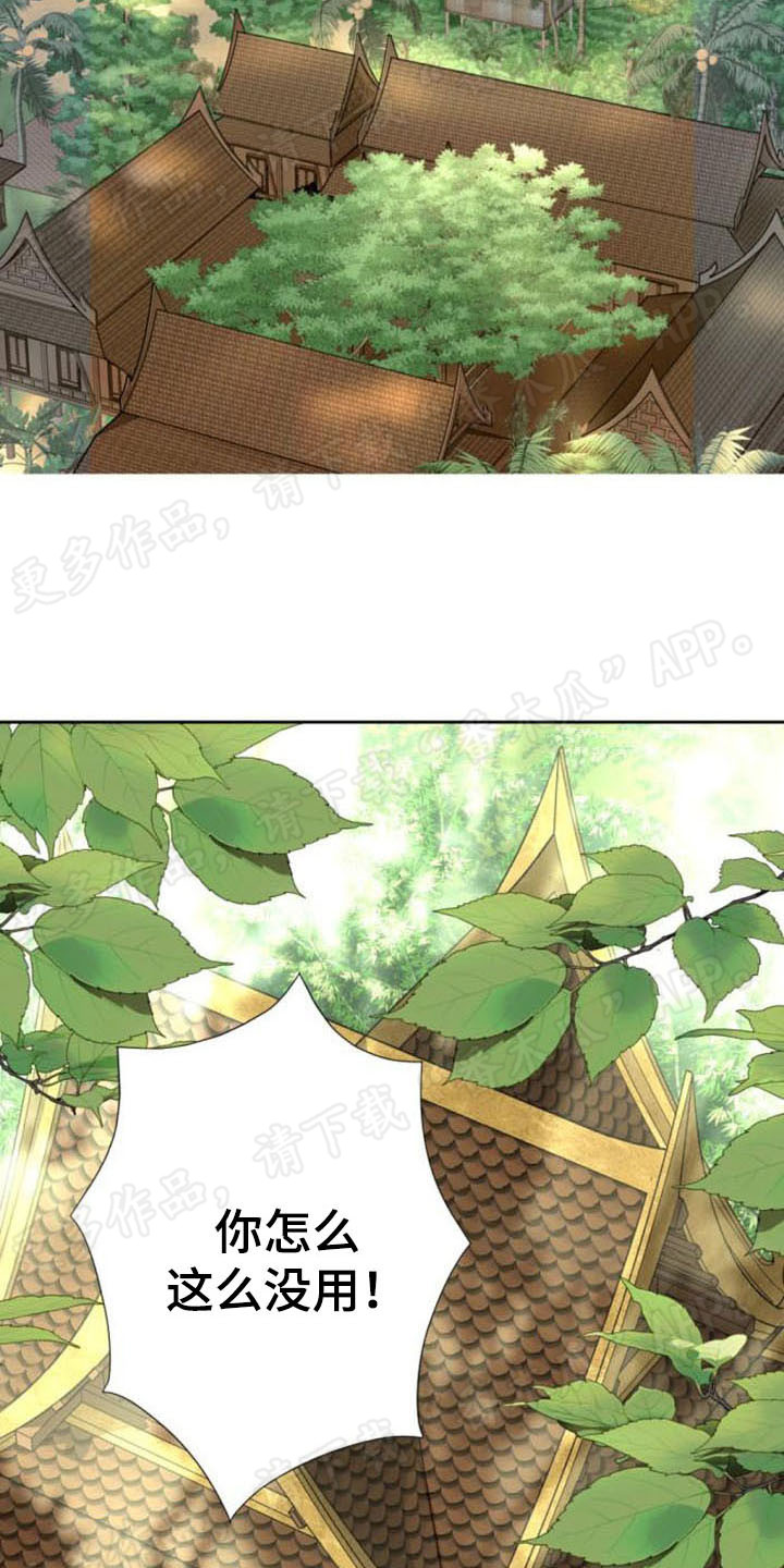 暹罗最美的少爷漫画,第44章：从头回忆5图