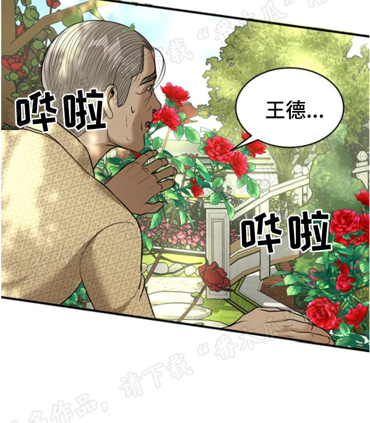 暹罗最美的少爷漫画,第37章：闯入庭院5图