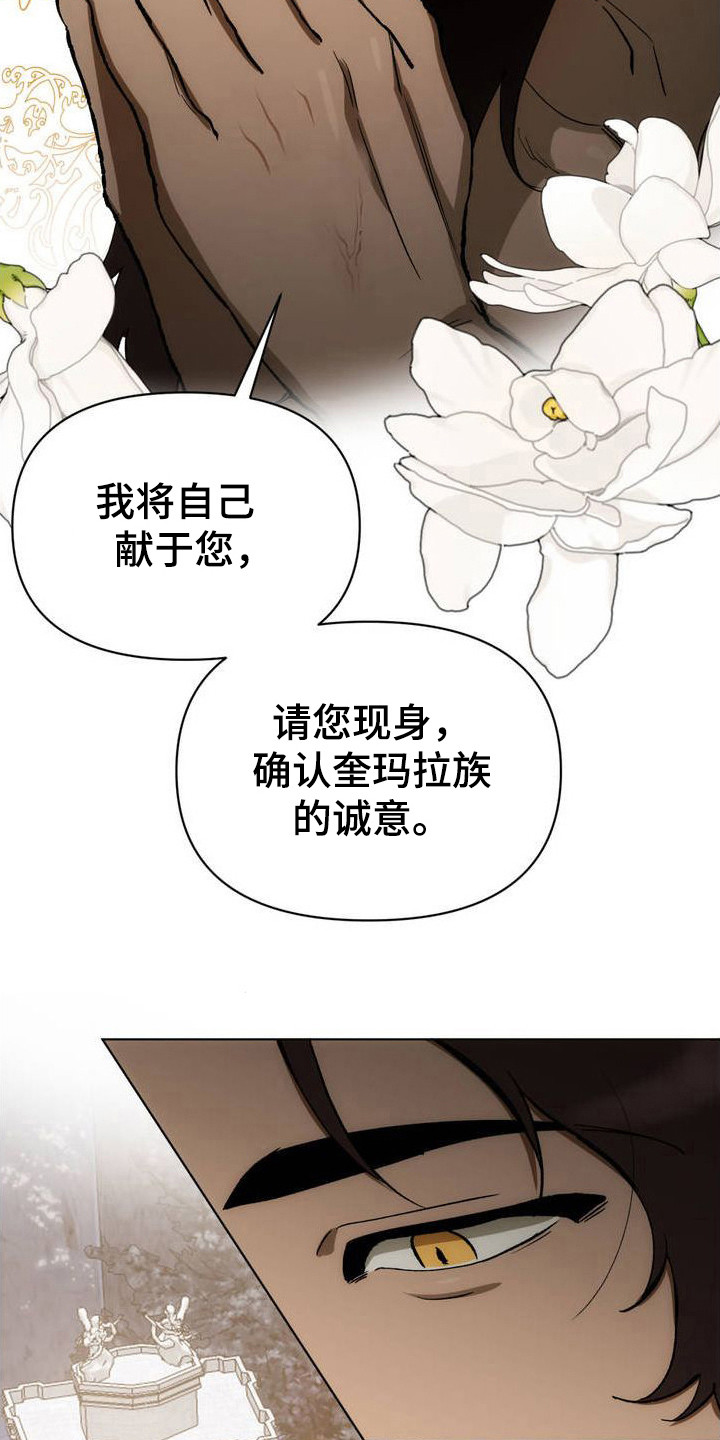 雨林让更多星星回归天际漫画,第3章：守护神4图
