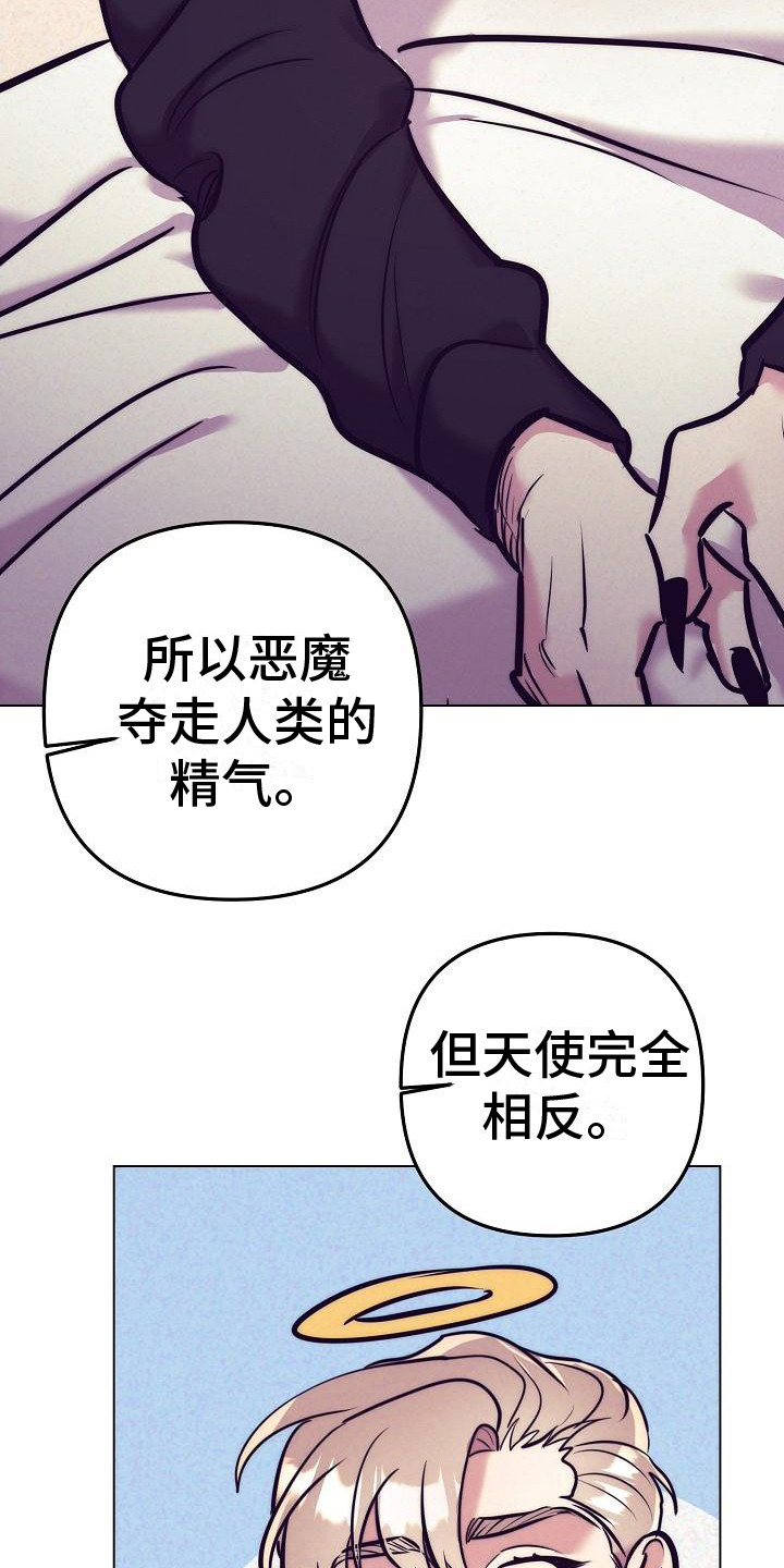 第45章：天使契约：最好的结局（完结）2
