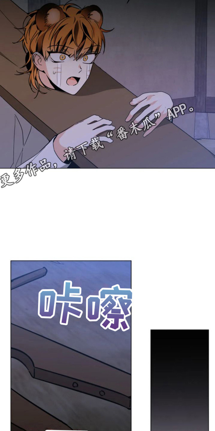 第44章：乱入的老虎：受伤了4
