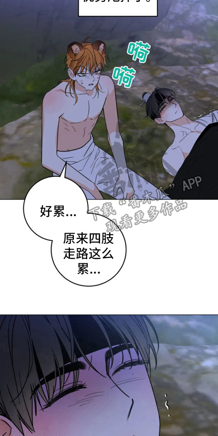第46章：乱入的老虎：笨蛋1