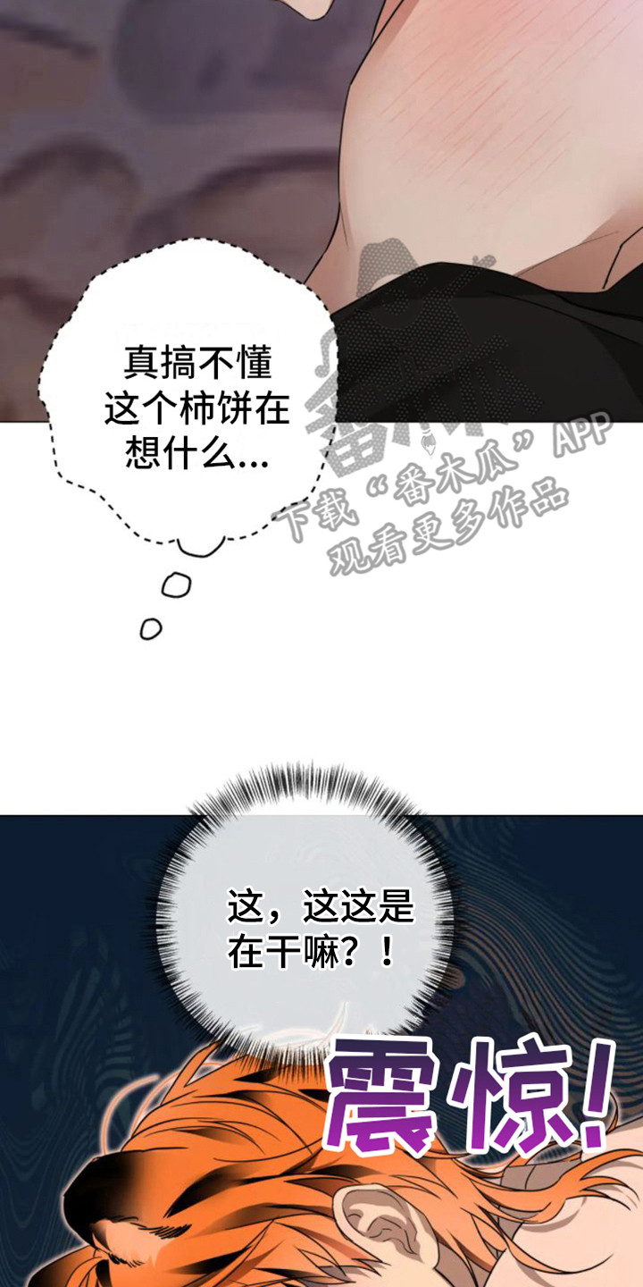 第38章：乱入的老虎：很可怕1