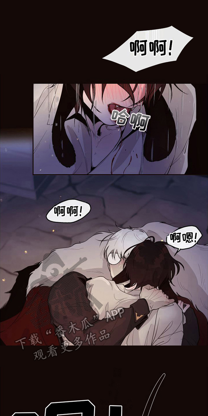 第22章：北极兔：唯一的黑色（完）0