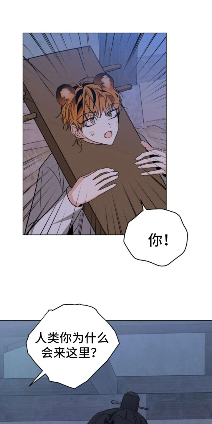 第44章：乱入的老虎：受伤了0