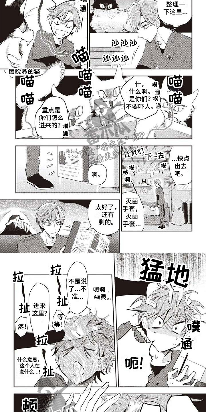 第20章：生岛医生3